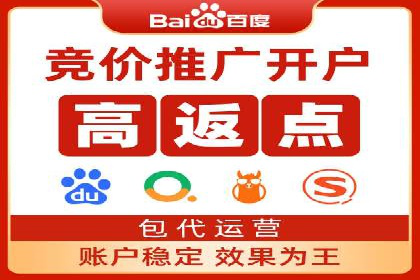 竞价排名与自然排名的对比案例